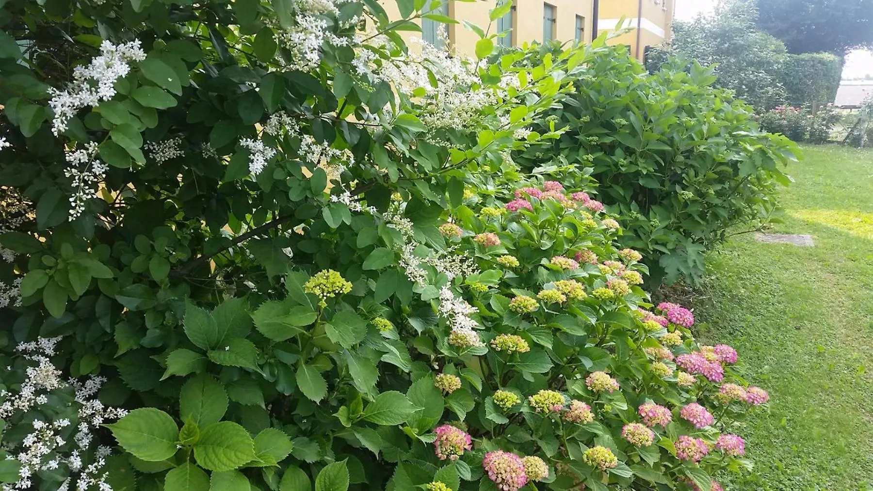 Agriturismo Lemene Caorle Italy